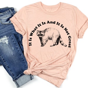 May include: A light pink t-shirt with a black and white raccoon illustration and the text "It Is What It Is And It Is Not Great". The shirt is paired with blue denim jeans.