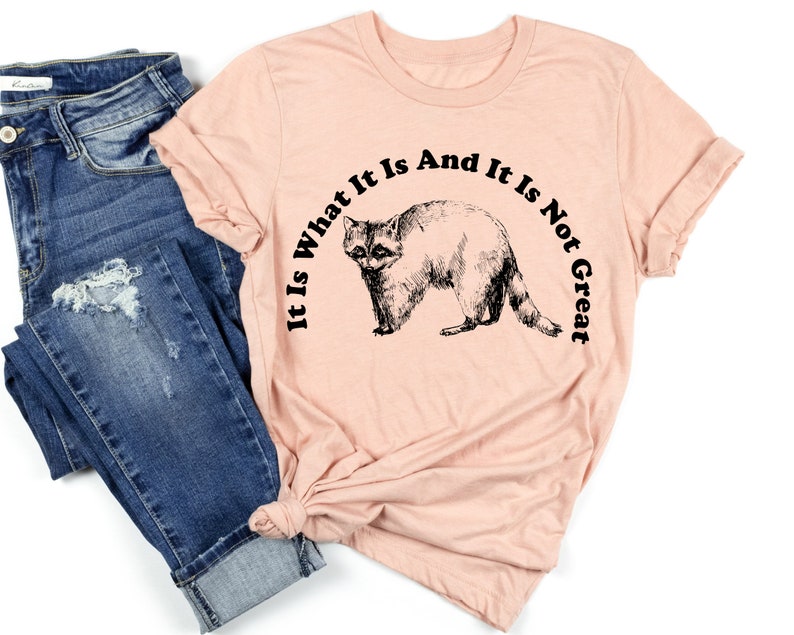May include: A light pink t-shirt with a black and white raccoon illustration and the text "It Is What It Is And It Is Not Great". The shirt is paired with blue denim jeans.