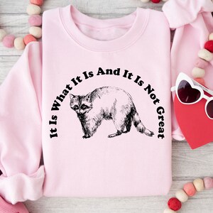 May include: Light pink sweatshirt with a black and white illustration of a raccoon. The text "It Is What It Is And It Is Not Great" is arched above the raccoon. The sweatshirt is a crew neck style.