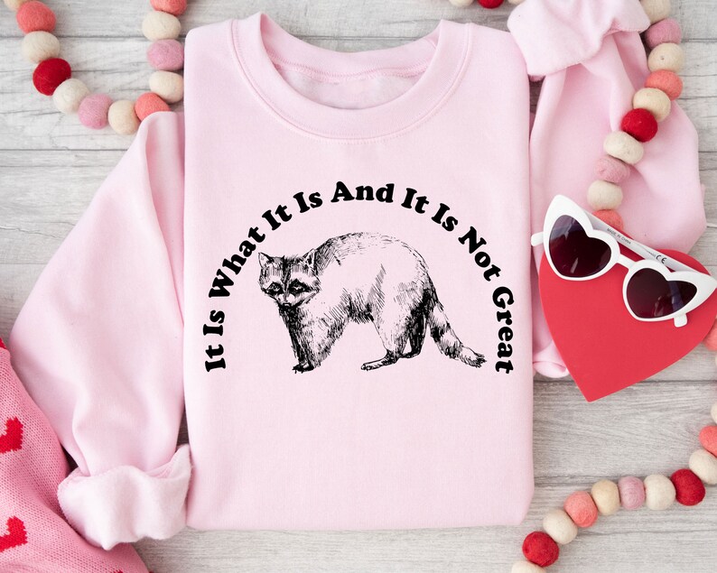 May include: Light pink sweatshirt with a black and white illustration of a raccoon. The text "It Is What It Is And It Is Not Great" is arched above the raccoon. The sweatshirt is a crew neck style.