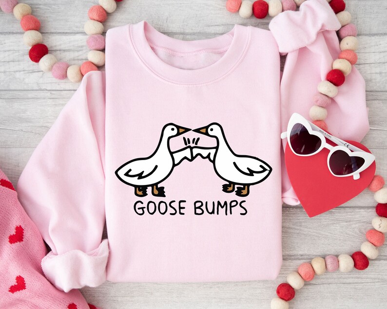May include: A pink sweatshirt with a graphic of two geese facing each other with the text "Goose Bumps" underneath.