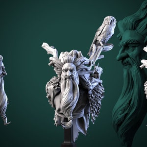 Druid Reidar | Bust | Resin 3D Printed Miniature | White Werewolf Tavern