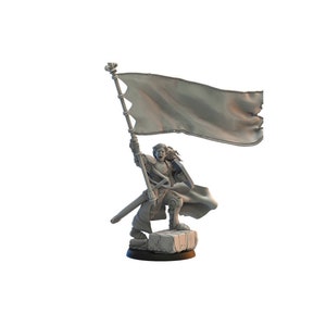 Portaestandarte a pie del Reino de Mercia / Reino de Mercia / Miniaturas del Reino Perdido / Juegos de mesa / RPG / D&D / Pathfinder