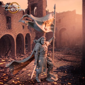 Barazan - Banner | Siege of Osthold | MESBG | The Printing Goes Ever On