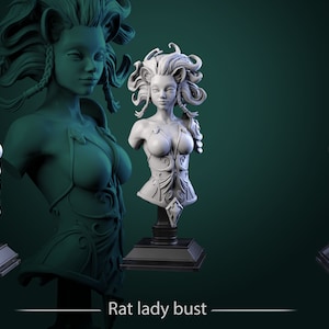 Rat Lady | Guts and Gutters | Bust | Resin 3D Printed Miniature | White Werewolf Tavern