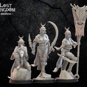 Onna Bugeisha Kommandogruppe | Nachtelfen / Dunkelelfen | Verlorenes Königreich Miniaturen | Tabletop Gaming | Rollenspiel | D&D | Pfadfinder