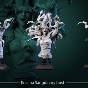 Kelaina Bloedarmoede | Charmeliedjes | Buste | 3D-geprinte harsminiatuur | Taverne Witte Weerwolf