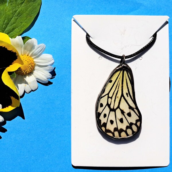 Vlinder vleugel ketting / Idea Leuconoe