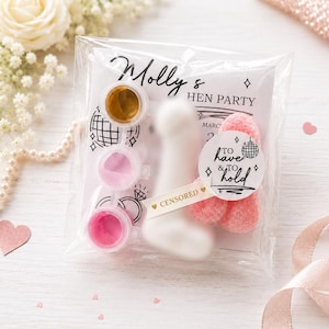 Paint Your Own Willy Kit – Hen Party Bachelorette Craft Activity