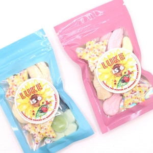 Personalised Ladybird sunflower Sweet Party Bags | Birthday or event Party bag fillers Candy cart Favors for Kids
