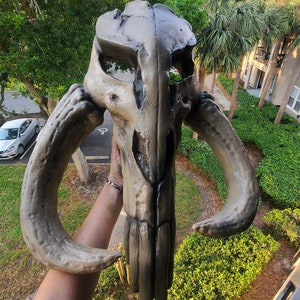 Cráneo de mitosaurio, mandaloriano, sigilo, beskar, legendario, bestia, mandaloriano, extinto, cráneo, decoración, arte mural, arte de fan, fan de Star Wars