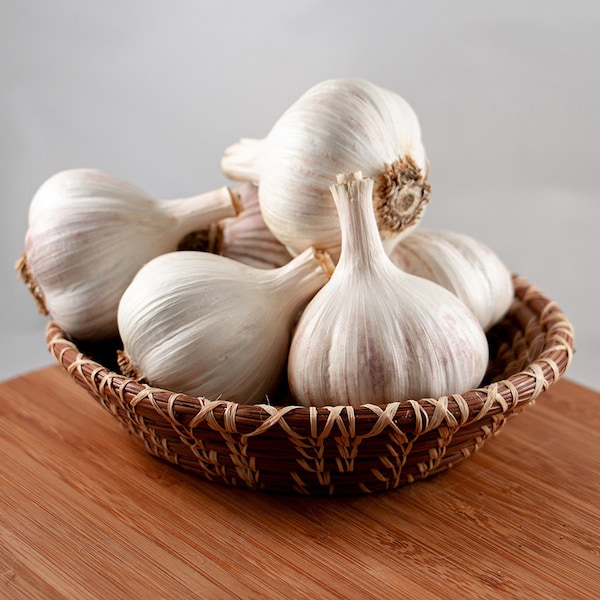 German Extra Hardy Hardneck Garlic for cooking and planting!! Naturally grown! Price is per Pound! FREE SHIPPING on orders over 75 USD!