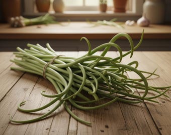 2026 PREORDER Fresh Garlic Scapes (German Extra Hardy and Music Hardneck)! Shipping in June! Price per Pound! Free Shipping over 75 USD!