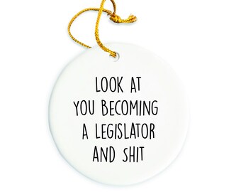 Legislator Ornament, Legislator Christmas Ornament, Legislator Christmas tree Ornament, Legislator Gift, Christmas Decorations