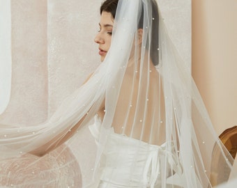 Velo de encaje con lentejuelas, velo de novia de catedral, velo de novia de tul con encaje, accesorio de boda, vid de pelo nupcial blanco/marfil, postizo de boda