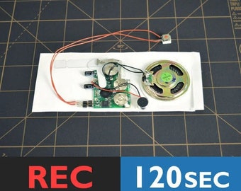 Sound Module For Do It Yourself Audio Card | Musical Card Insert, Do It Yourself Singing Card, Recordable Greeting Card Module | 120 Seconds