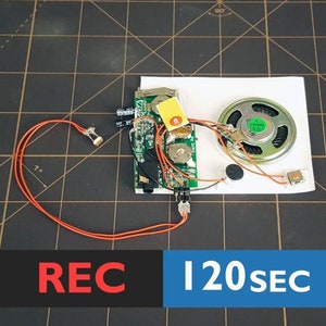 Licht-Sensor | Lichtschranke, Soundmodul mit Line-In-Anschluss, Sprachchip, Klangmodul | 120 Sekunden