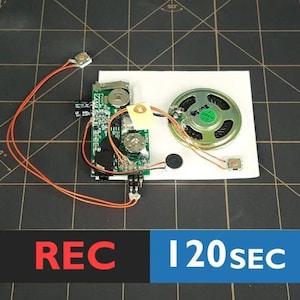 Push Button Sound Module With Line-in Port | Re-recordable Sound Module, Push Button Sound | 120 Seconds