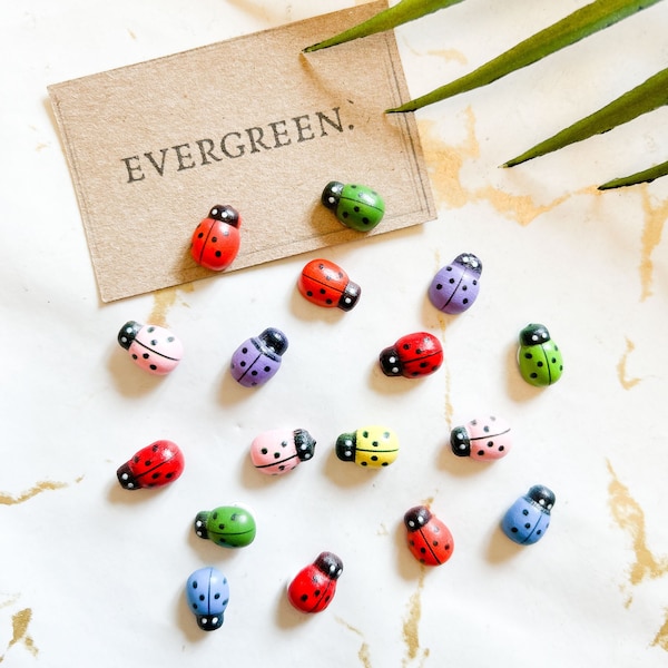 Wooden Ladybird / Ladybird - Wide Variety Available!