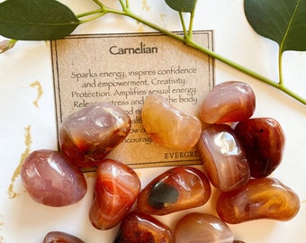 Carnelian Crystal Tumbled Stone - Confidence, Empowerment & Energy