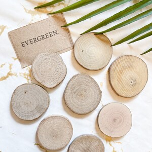 Natural Wood Slices Craft Wood Kit with Hole Wooden Circles Tree