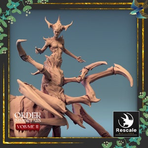 Spider Queen | Rescale Miniatures | DnD Tabletop Miniature | Hand-Painted Mini | The Magpie&#39;s Menagerie