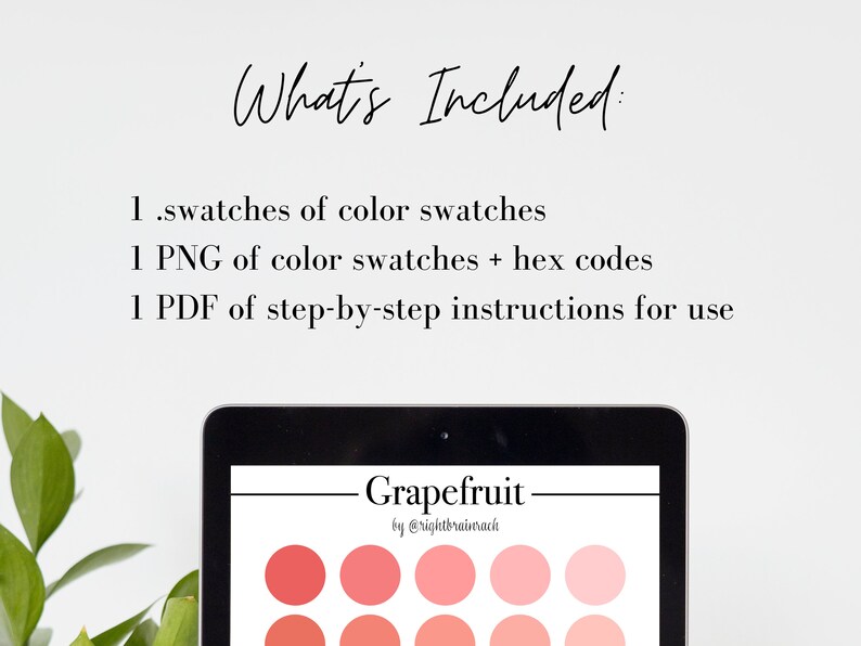 Grapefruit Procreate Color Palette 30 Color Swatches Bright, Rose Pink, Peachy Digital Download