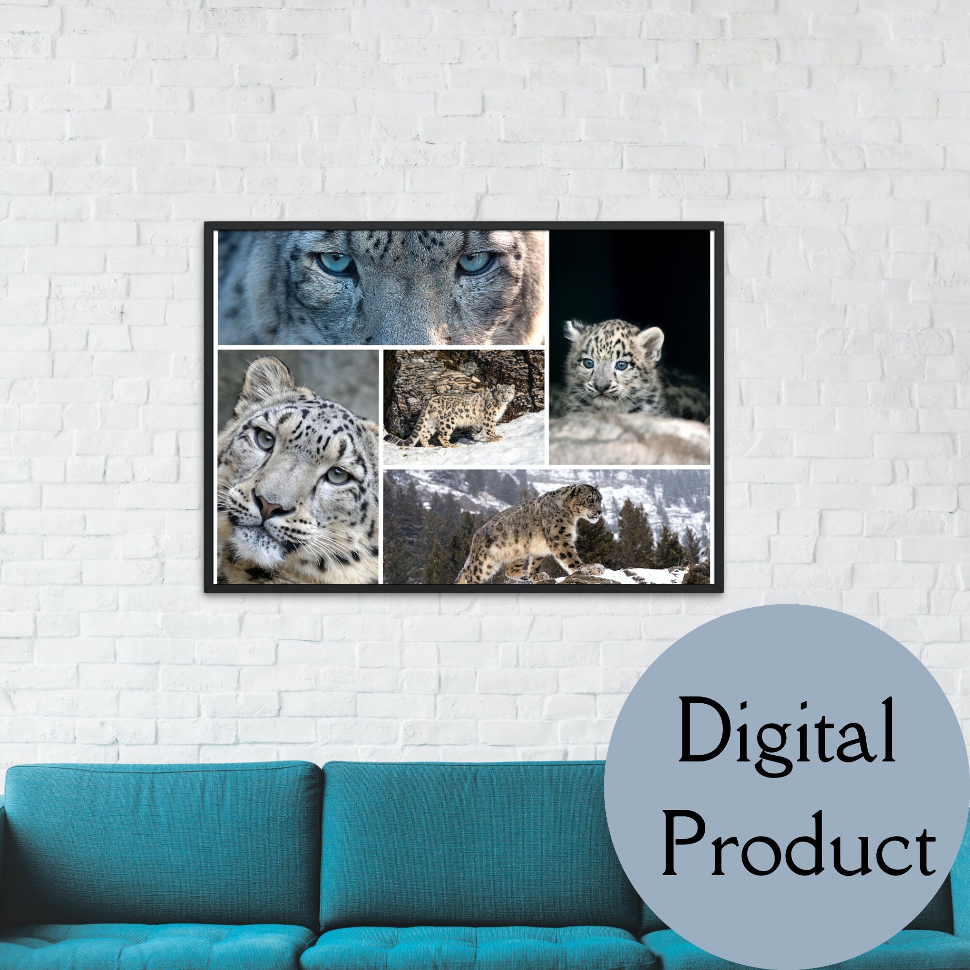 Snow Leopard Photography Printable Wall Art Collage Nature Photography ...