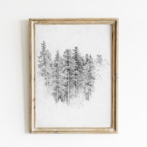 May include: A framed black and white print of a forest scene. The artwork features a detailed pencil drawing of several tall pine trees. The frame is a light, distressed gold color, adding a vintage aesthetic to the piece. The print is mounted on a white background.