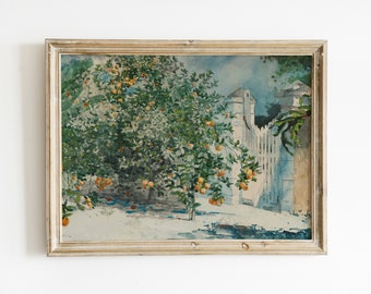 Vintage French Countryside wall decor, Antique Orange Tree Painting, Landscape Old print, European Vintage Watercolor, Painting Vintage