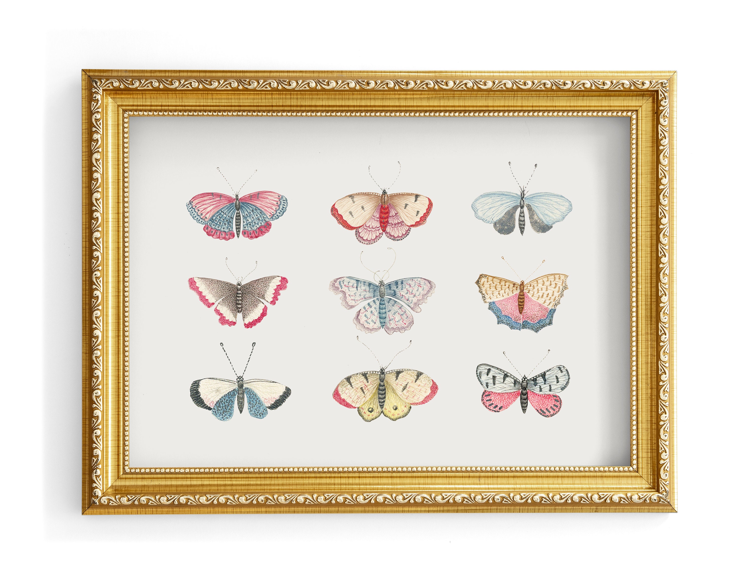 Vintage Monarch Butterfly Illustration Print Boho Art for - Etsy