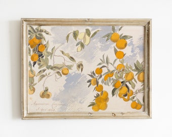 Lemons and Orange Vintage Painting | High Resolution antique watercolor | Kitchen Wall Art | Farmhouse Decor | Downloadable Print