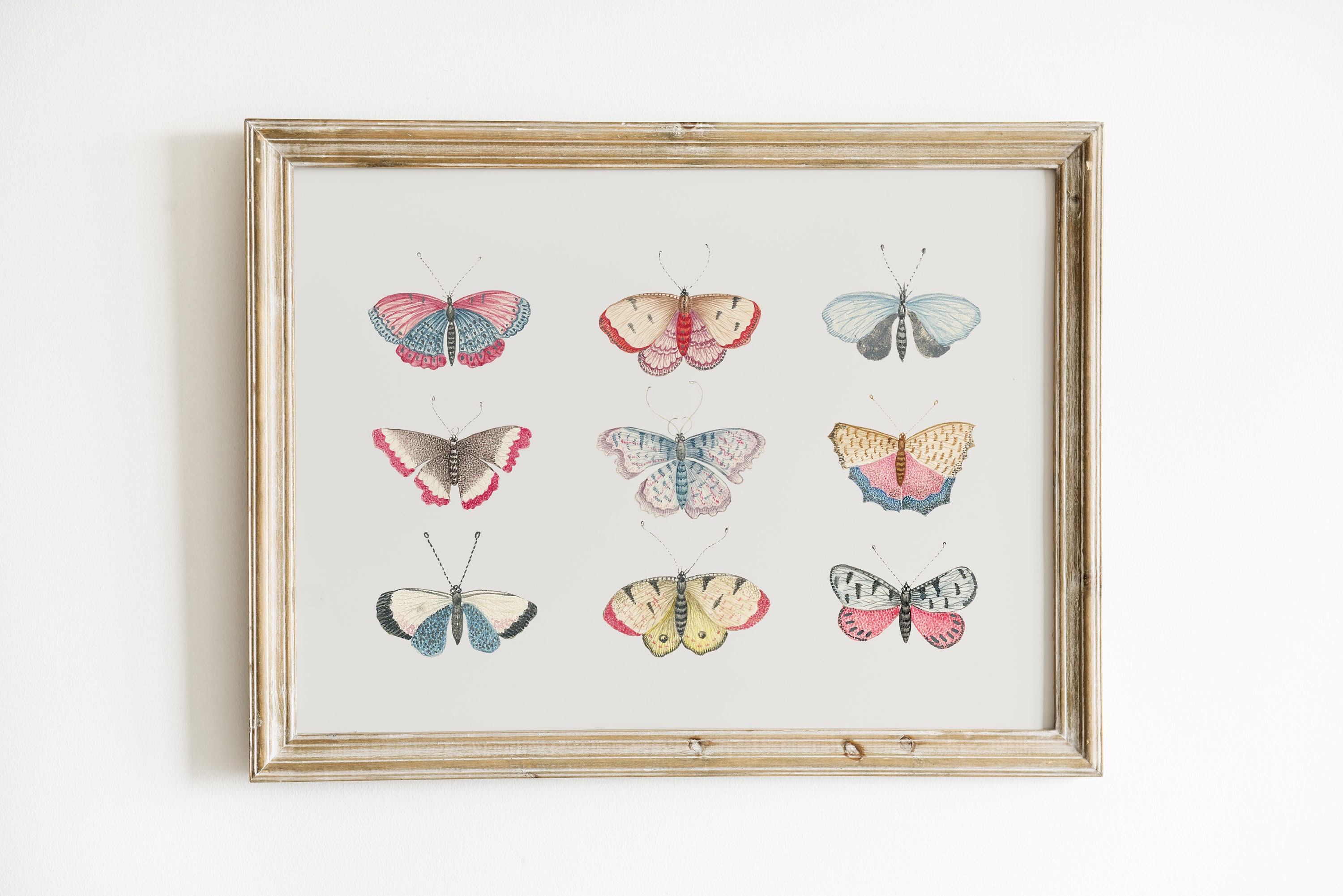 Vintage Monarch Butterfly Illustration Print | Boho Art for Girls' Room and Nursery Decor | Digital Downloadable Wall Art
