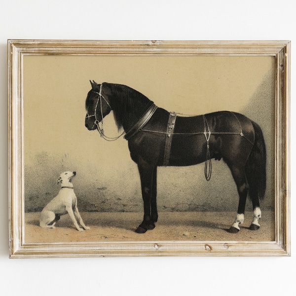 Horse & Dog Vintage Illustration | Vintage Horse Painting | Neutral Decor | Antique horse and dog | Farmhouse Decor | Digital Download