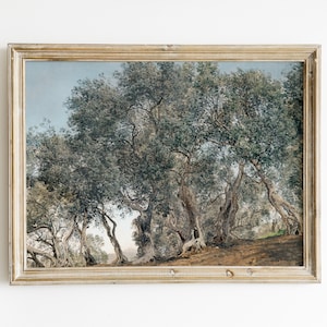 Vintage Olive Trees Painting | Italian Countryside Landscape Wall Art | Olive Grove in Italy | Mediterranean Wall Decor | Printable at Home