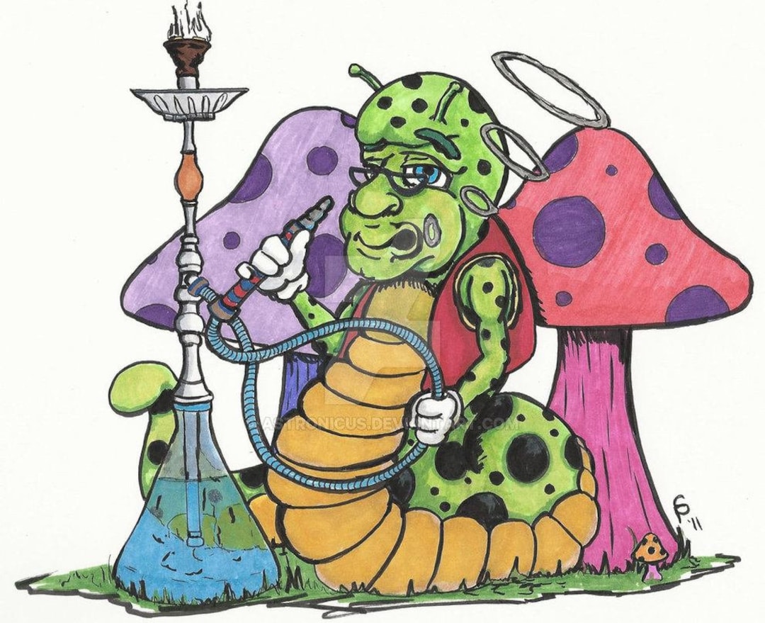 Hookah Caterpillar Etsy