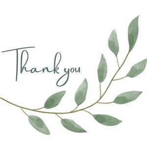 May include: A watercolor illustration of a green leafy branch with the text "Thank you" in a light blue font.