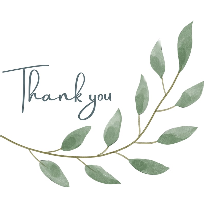 May include: A watercolor illustration of a green leafy branch with the text "Thank you" in a light blue font.