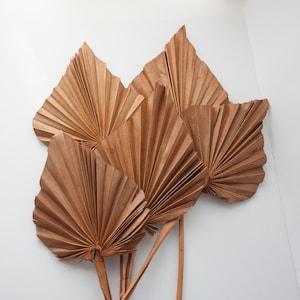 Spice Brown Spear Palm, Boho Natural Dried Palm Leaves, DIY Vase Arrangement, Centerpiece, Cake Decoration, Home and Office Decor