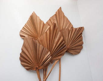 Spice Brown Spear Palm, Boho Natural Dried Palm Leaves, DIY Vase Arrangement, Centerpiece, Cake Decoration, Home and Office Decor