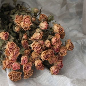 Dried Pink Mini Roses, Real Spray Garden Roses, DIY Bouquets, Home Decor, Perfect Present, Flowers For Wedding, Beautiful Arrangement