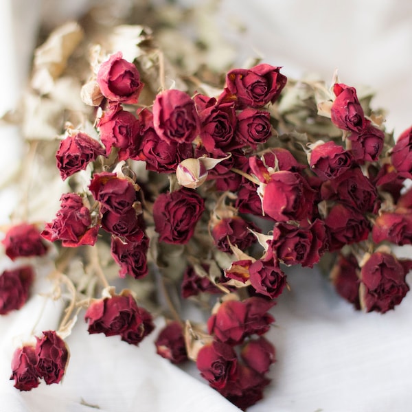Dried Flowers Bulk - Etsy
