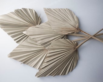 Natural Dried Palm Leaves, Boho Dry Spear Palm, DIY Vase Arrangement, Centerpiece Addition, Cake Decoration, Wedding and Event Home Decor