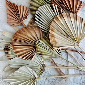 Palm Leaves Neutral Colors Mix, Spear Fan Natural Dried Palm Leaf, Boho Dry DIY Vase, Centerpiece Addition, Wedding Cake Decoration