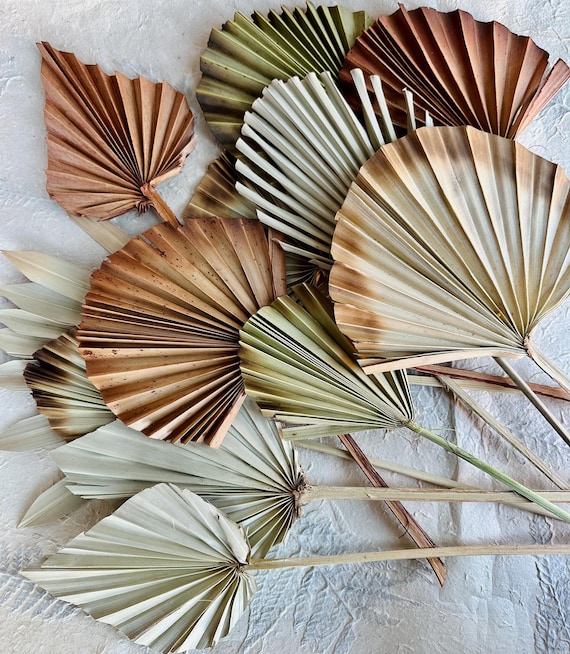 Palmenblätter Neutrale Farben mischen, Speerfächer Natürliche getrocknete Palmenblätter, Boho Dry DIY Vase, Herzstückzusatz, Hochzeitstorte Dekoration