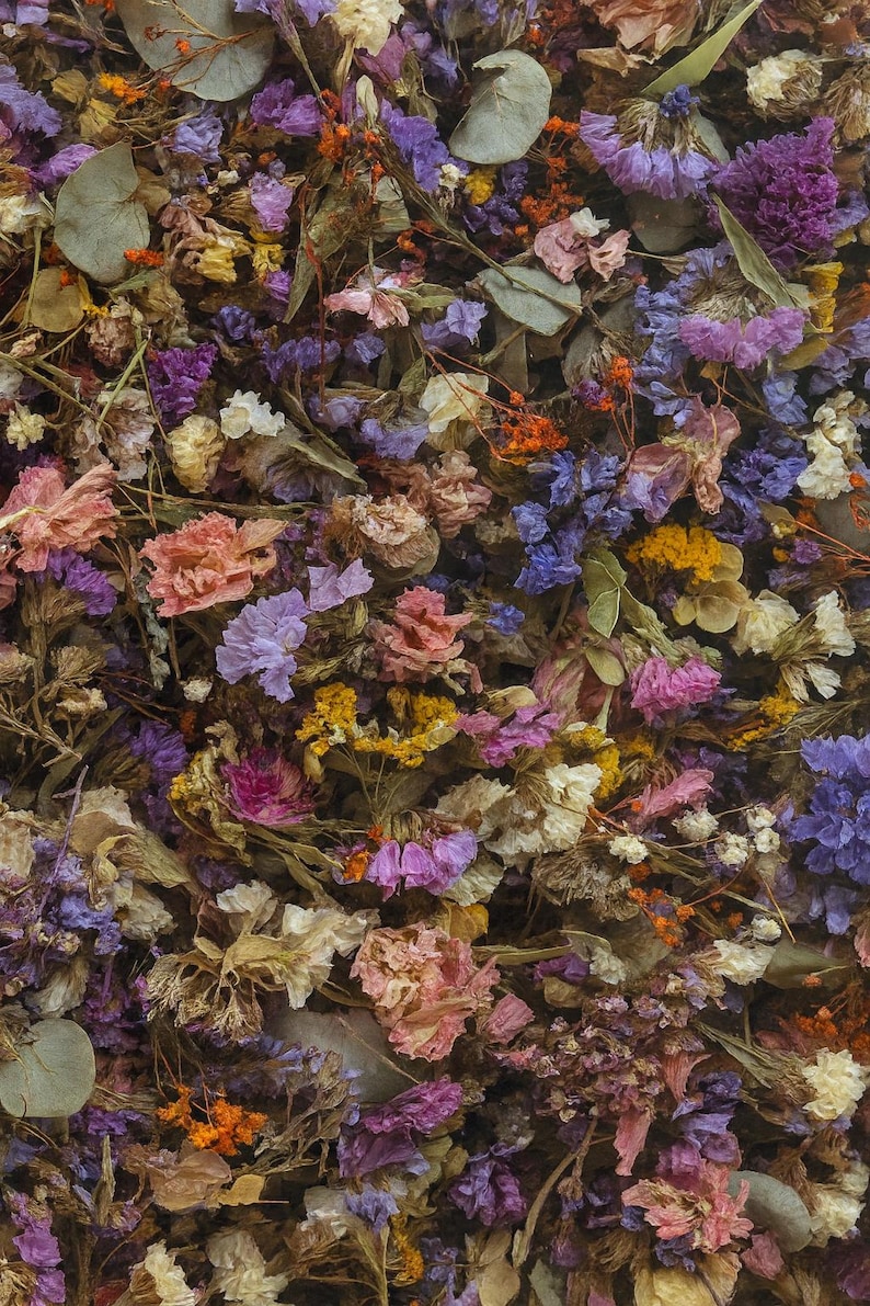 May include: A close-up view of a mix of dried flowers in various colors. The arrangement includes purple, pink, yellow, and white flowers, along with green leaves and brown stems. The flowers are densely packed together.