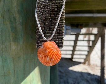 Dreamsicle Siren Seashell Necklace