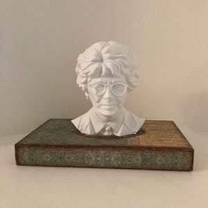 May include: A white bust of a person wearing glasses, atop a decorative book. The bust has detailed facial features and curly hair. The book has a teal and brown patterned cover with aged edges, adding a vintage aesthetic.