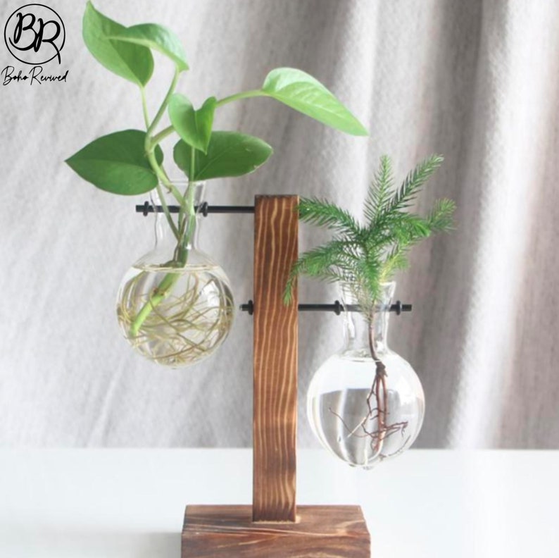 Glass Propagation Vase Bulbs With Wood Stand Stylish and Etsy UK