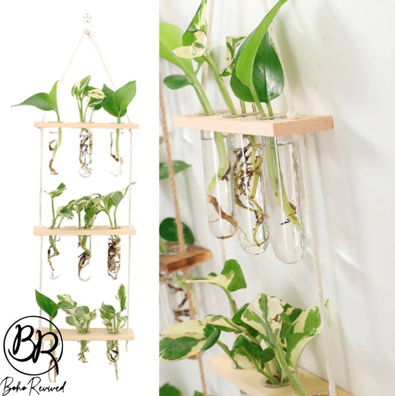 Hanging Ladder Propagation Station Three Tier Tube Vase Displ Etsy UK
